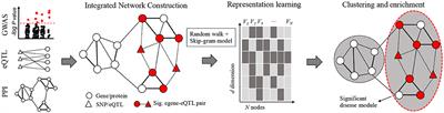 Disease Module Identification Based on Representation Learning of Complex Networks Integrated From GWAS, eQTL Summaries, and Human Interactome